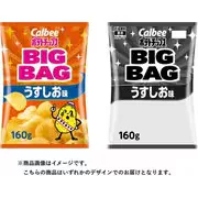 ビッグバッグポテトチップスうすしお味 160g