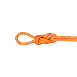 マムート MAMMUT 9.5アルパインドライロープ60m ロープ 9.5mm vibrant orange-zen(2286) 60m 2010-05530