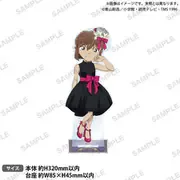 名探偵コナン 特大アクリルスタンド ブラウスタイル Reカラーver. 灰原哀