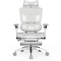 ラシカルジャパン Rasical Japan ワークチェア Rasical Chair Elite ホワイトグレイ Rasical-Elite-WHGR