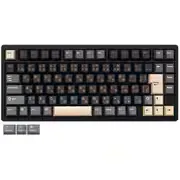 ワイヤレスメカニカルキーボード Rainy75 Pro 日本語配列 75% KAILHココアスイッチ(リニア) ルブ済 有線・無線・Bluetooth対応 PR75BLK-JIS