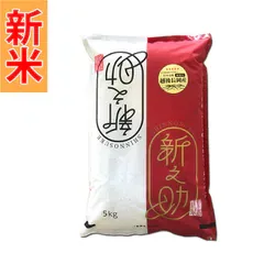 精米 新潟県産 新之助 5kg 令和8年産