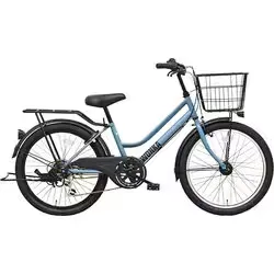 大日産業 ダイニチサンギョウ 子ども用自転車 WONKA(ウォンカ) ジュニア 24インチ 外装6段変速 マットブルーグレー FTS246BHD2/TGE
