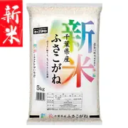 精米 千葉県産 ふさこがね 5kg 令和8年産