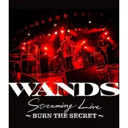 WANDS Streaming Live ~BURN THE SECRET~