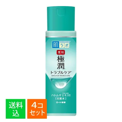 【×4個 配送おまかせ】ロート製薬 肌研 極潤 薬用スキンコンディショナー 170mL