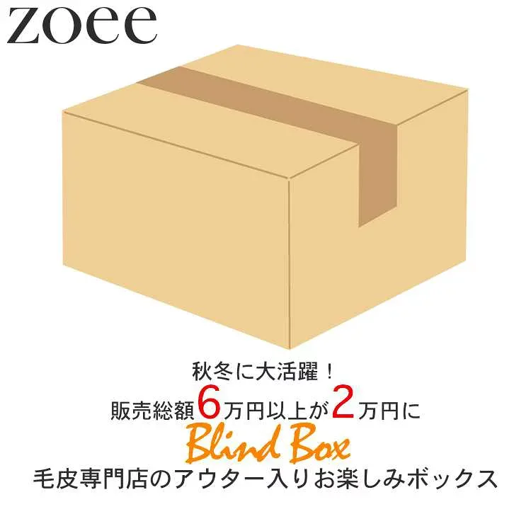 【最終セール】【メンズ福袋】【返品交換不可】6万円以上相当が2万円! 超お得なメンズ 本革 毛皮 ムートン アウター 小物 セット商品 M/L/2L/3L/4L k4z02