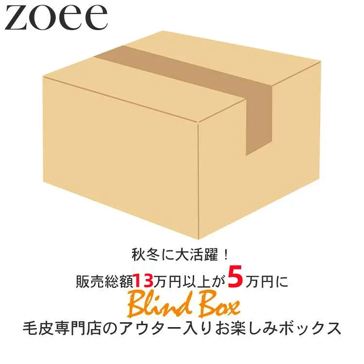 【最終セール】【メンズ福袋】【返品交換不可】13万円以上相当が5万円! 超お得なメンズ 本革 毛皮 ムートン アウター 小物 セット商品 M/L/2L/3L/4L k4z04