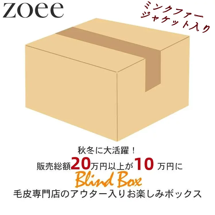 【最終セール】【レディース福袋】【返品交換不可】20万円以上相当が10万円! 超お得なレディース 本革毛皮アウター 小物 セット商品 M/L/2L/3L blindbox5